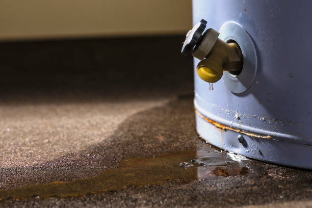 Best Basement water damage restoration  in Blacklick Estates, OH