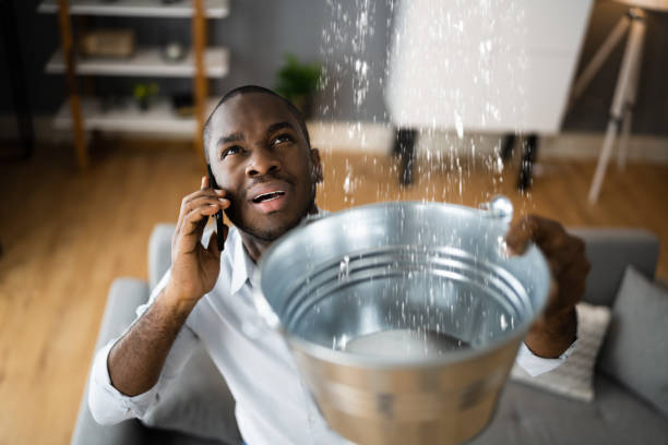 Best Flood restoration services  in Blacklick Estates, OH