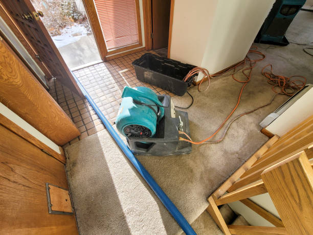 Best Mold removal after water damage  in Blacklick Estates, OH