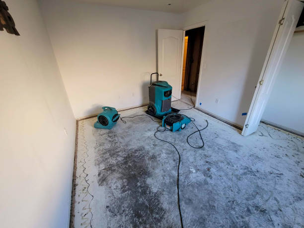 24/7 water damage repair in Blacklick Estates, OH