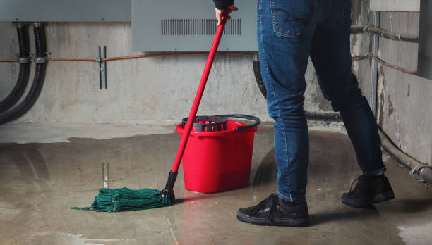 Best 24-hour water damage restoration  in Blacklick Estates, OH