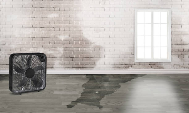 Best Residential water damage restoration  in Blacklick Estates, OH