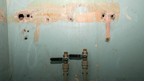 Best Emergency water damage restoration  in Blacklick Estates, OH