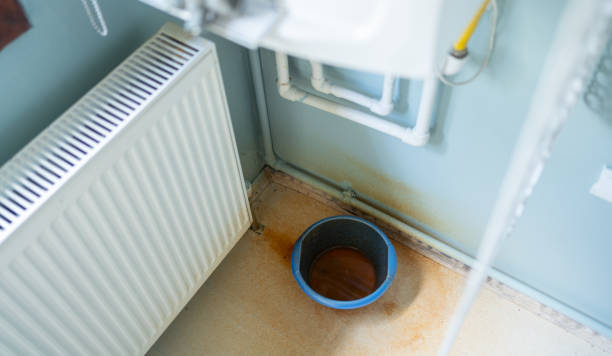 Best Water damage cleanup near me  in Blacklick Estates, OH